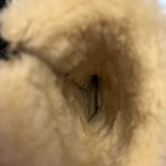 UGG Plumdale Tassle Charm Beige Suede Sheepskin Cuff Side Zip Boots Size 5 - Picture 8 of 15